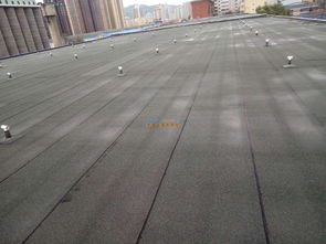 甘肅東方一代 專業(yè)防水防腐保溫與水電維修服務(wù)專家